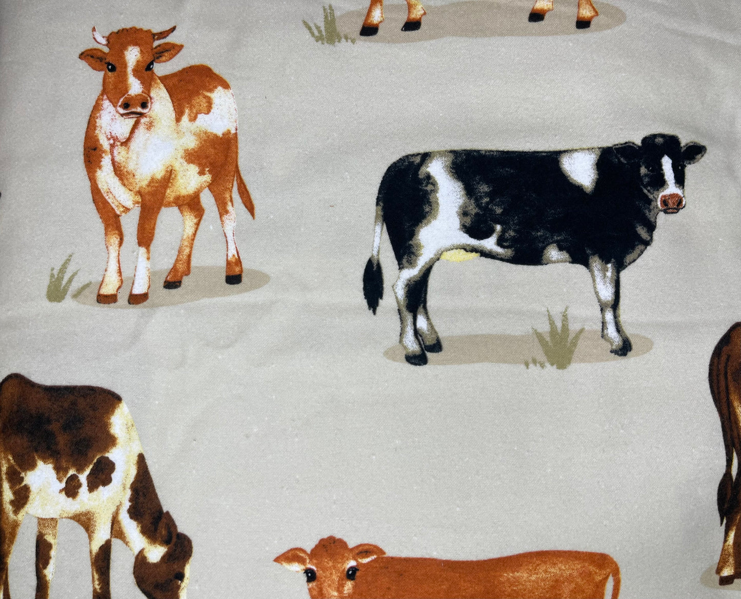 Personalized Minky Blanket -  Farm Cows